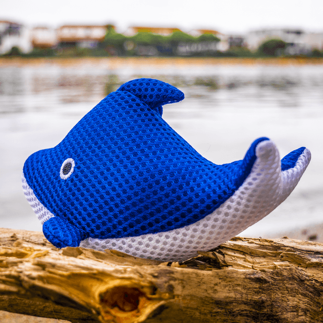 Éponge Baleine