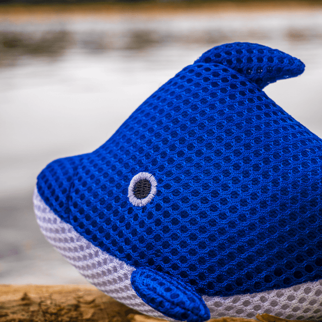 Éponge Baleine