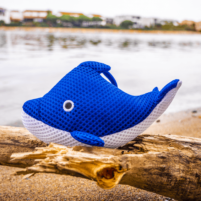 Éponge Baleine